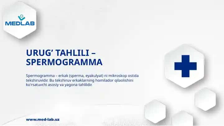 URUG’ TAHLILI – SPERMOGRAMMA