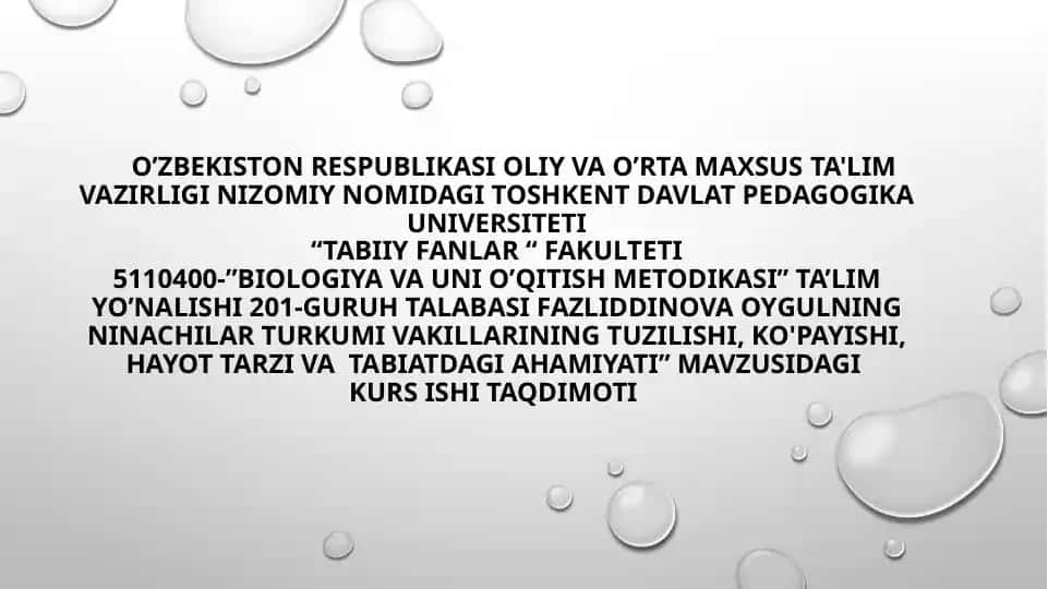 Ninachilar turkumini o'rganish bo'yicha kurs ishi taqdimoti