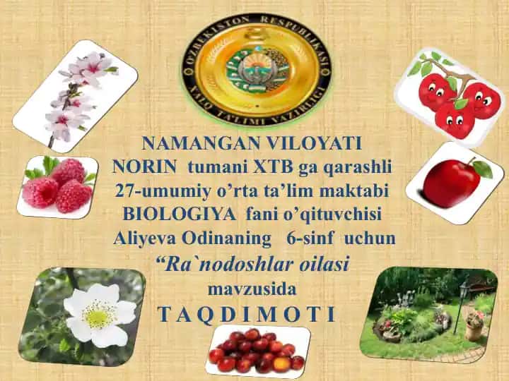 Ra`nodoshlar oilasi