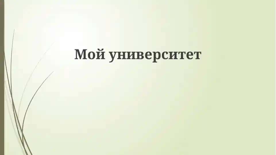 Мойуниверситет