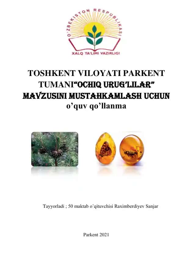 Ochiq urug’lilar