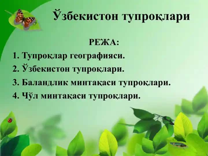 O‘zbekiston tuproqlari