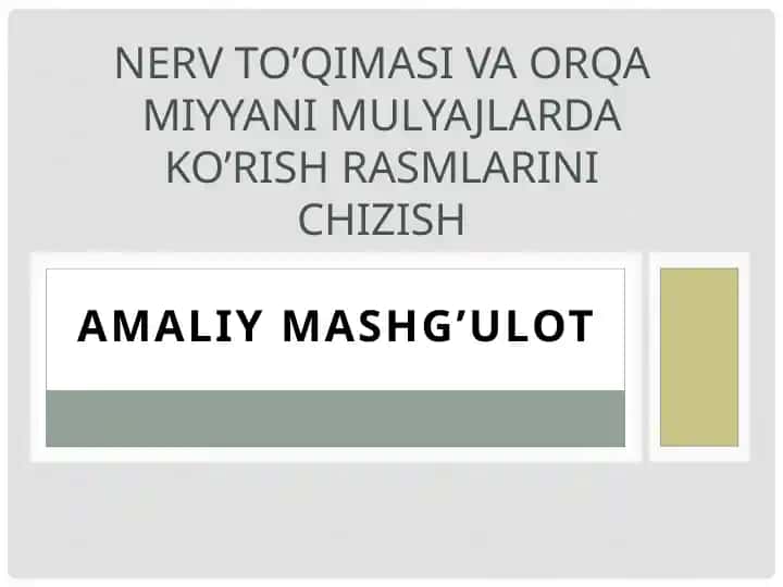 Nerv to’qimasi va orqa miyyani mulyajlarda ko’rish rasmlarini chizish