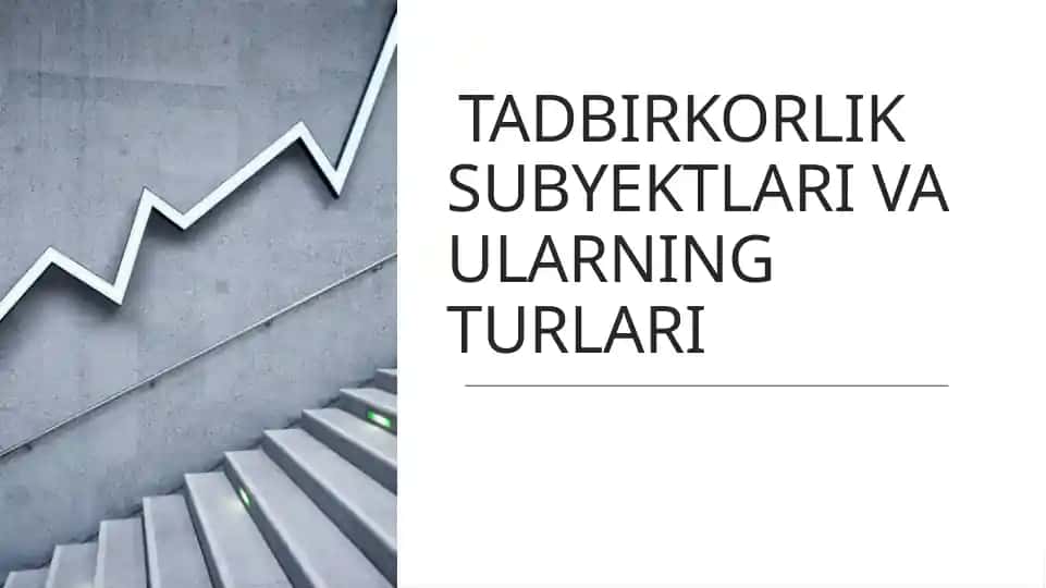Tadbirkorlik Subyektlari va Ularning Turlari