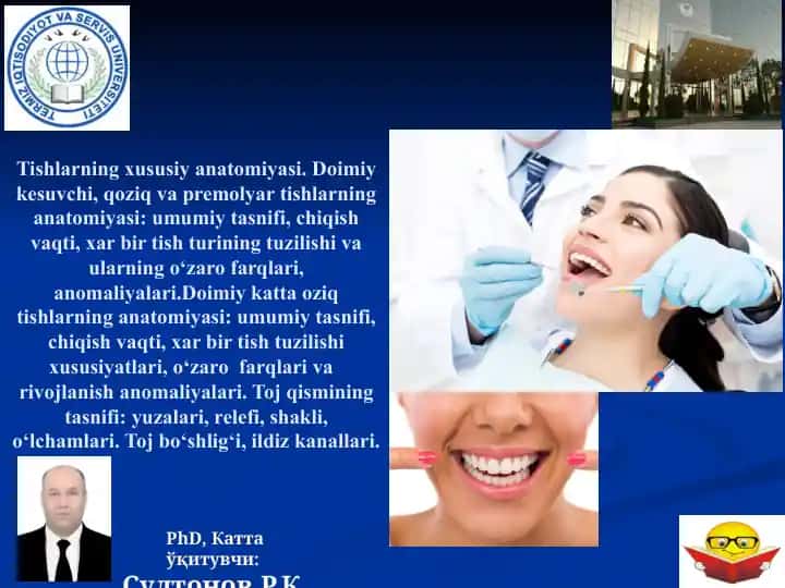 Tishlarning xususiy anatomiyasi