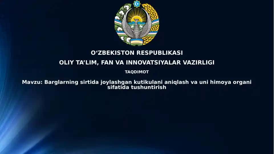 Barg Kutikulasi