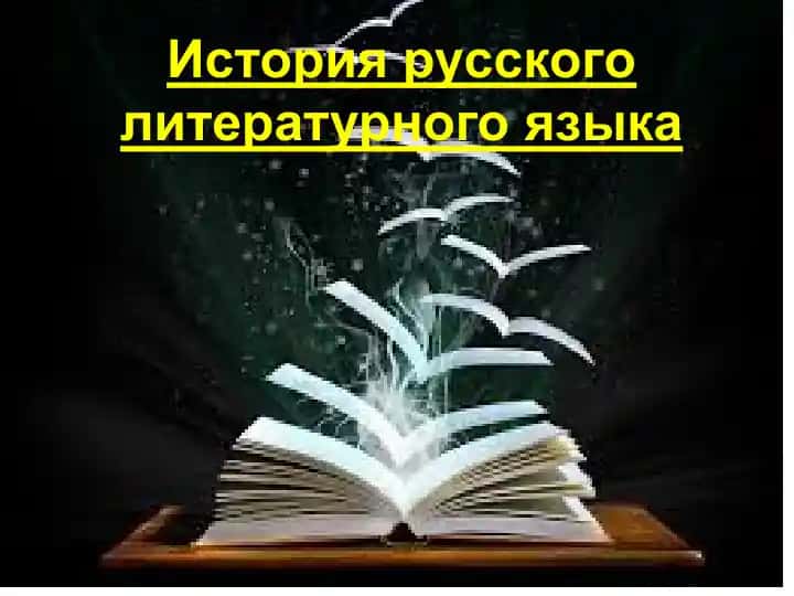 История русского литературного языка