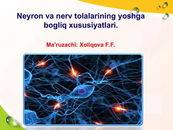 Neyron va nerv tolalarining yoshga bog‘liq xususiyatlari