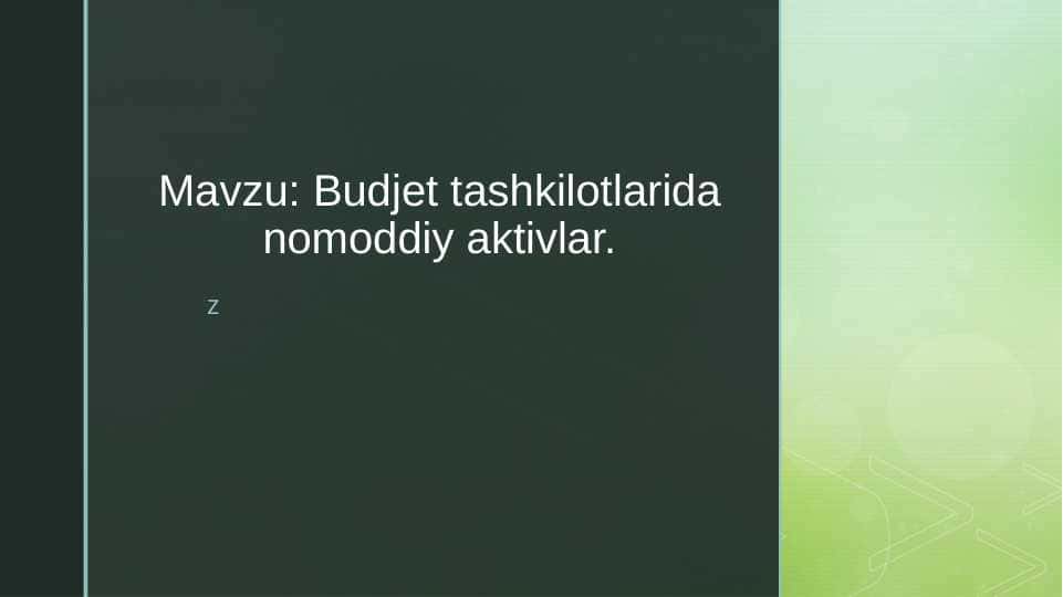 Budjet tashkilotlarida nomoddiy aktivlar