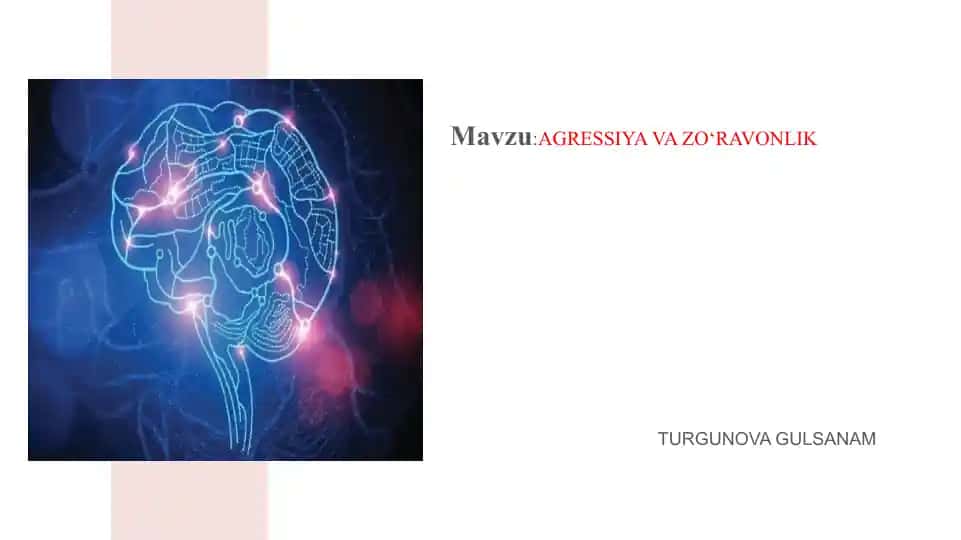 Agressiya va Zo'ravonlik