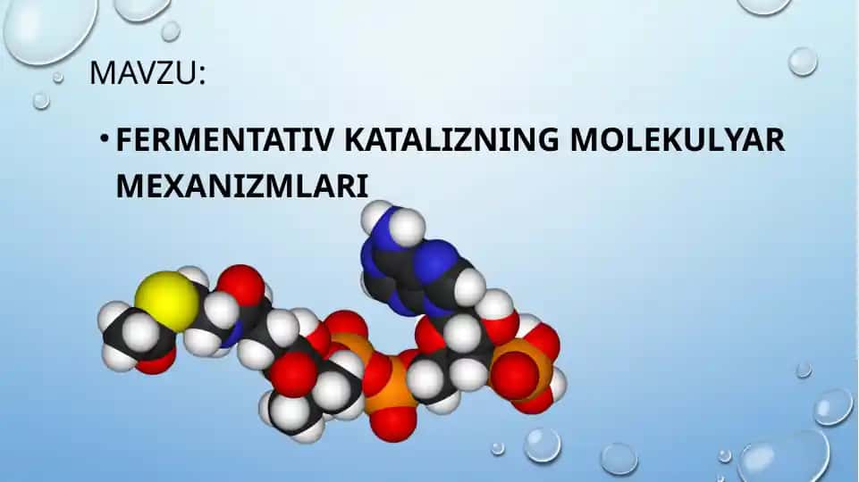 Fermentativ katalizning molekulyar mexanizmlari