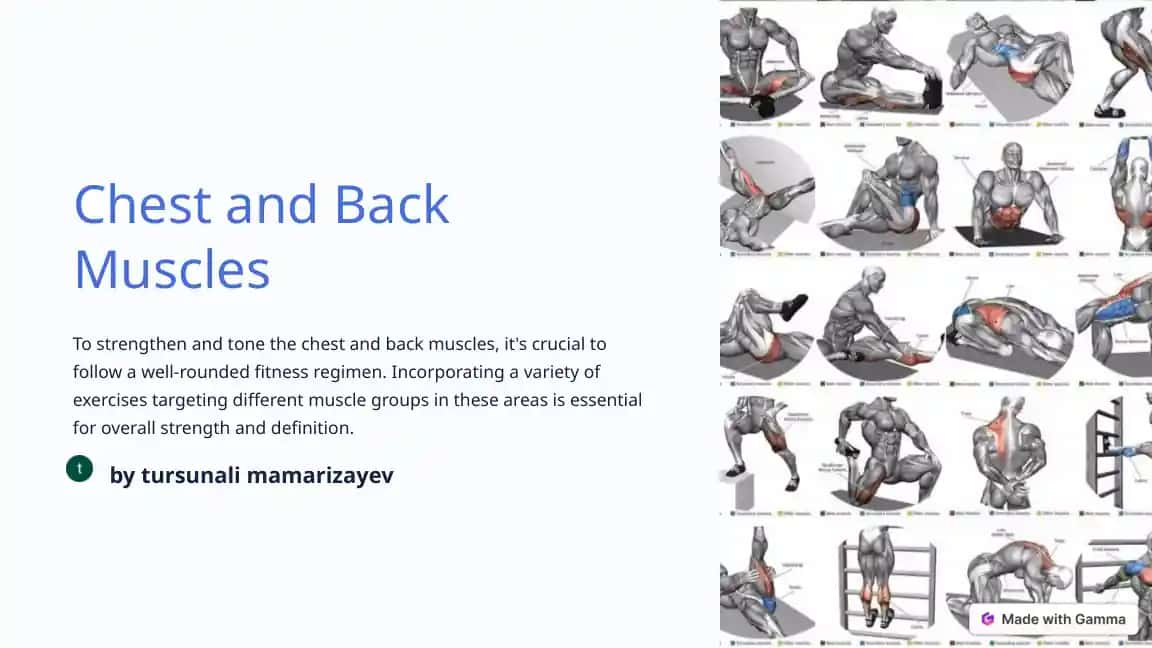Chest and Back Muscles