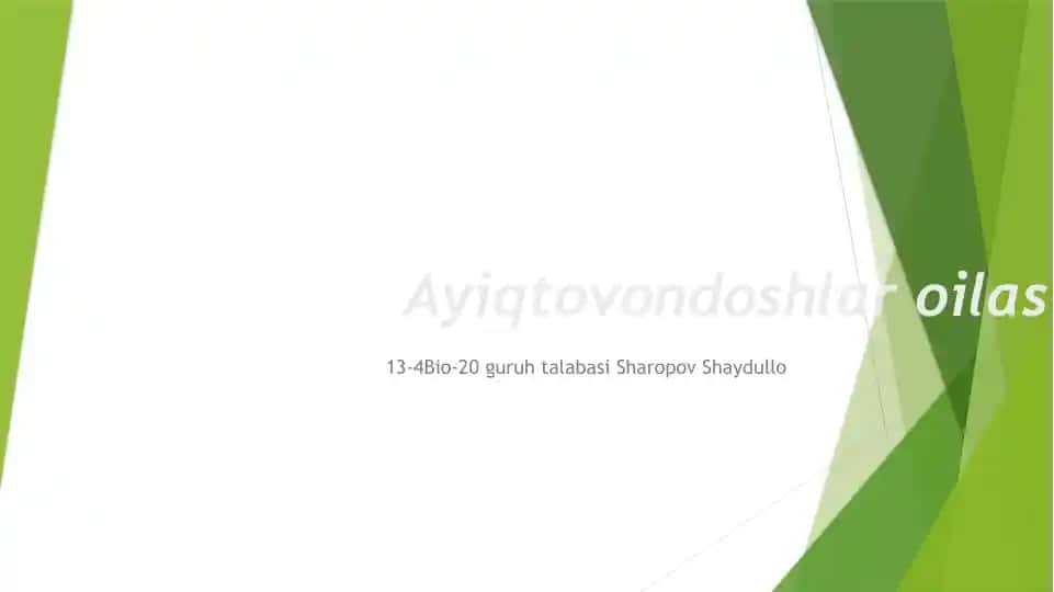 Ayiqtovondoshlar oilasi