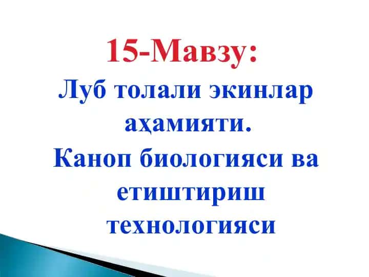 Лубтолали экинлар аҳамияти