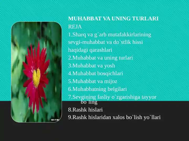 MUHABBAT VA UNING TURLARI