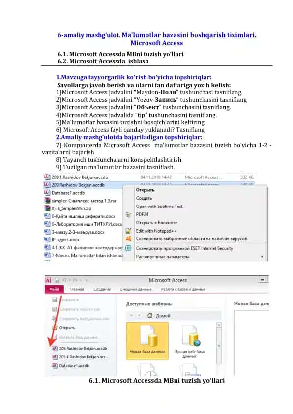 Microsoft Access