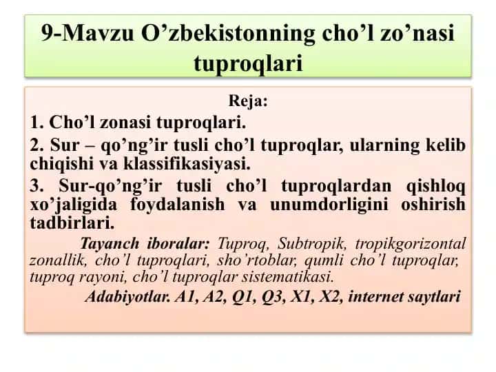 Cho’l zonasi tuproqlari