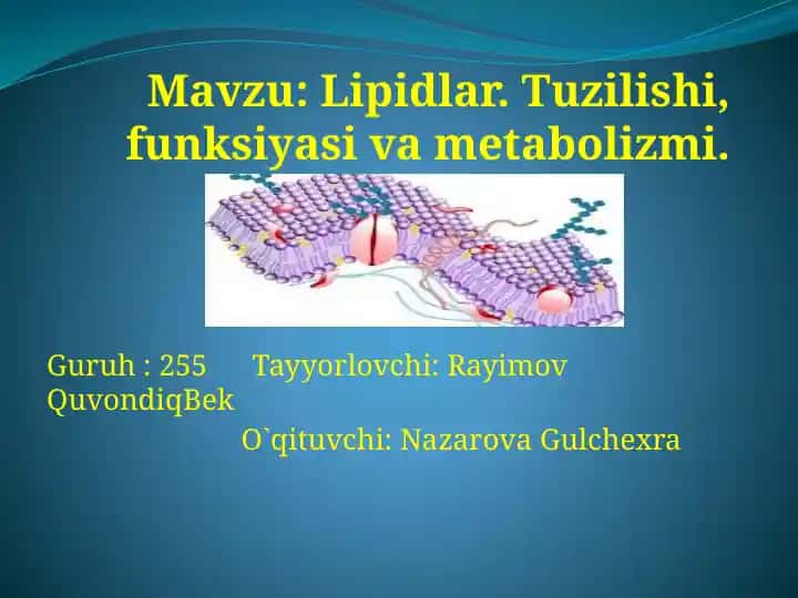 Lipidlar