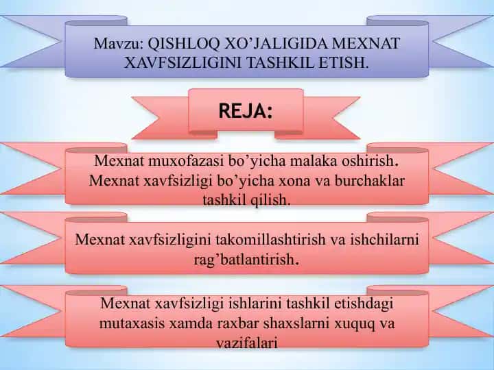 Mexnat xavfsizligi tashkili