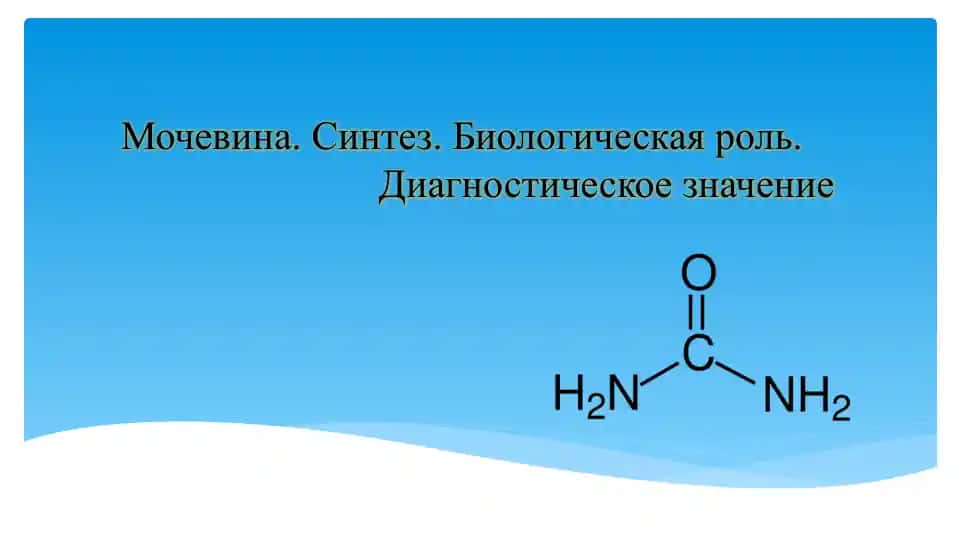 Мочевина. Синтез. Биологическая роль. Диагностическое значение