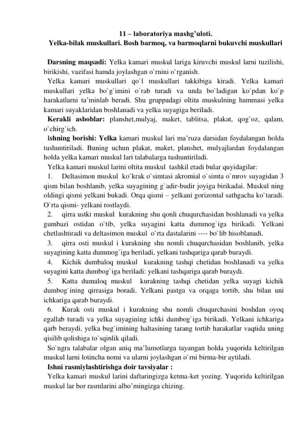 Yelka Kamari Musklari Laboratoriya Mashg'uloti