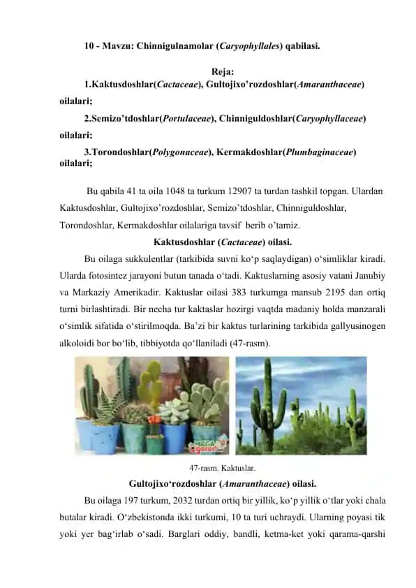 Chinnigulnamolar (Caryophyllales) qabilasi
