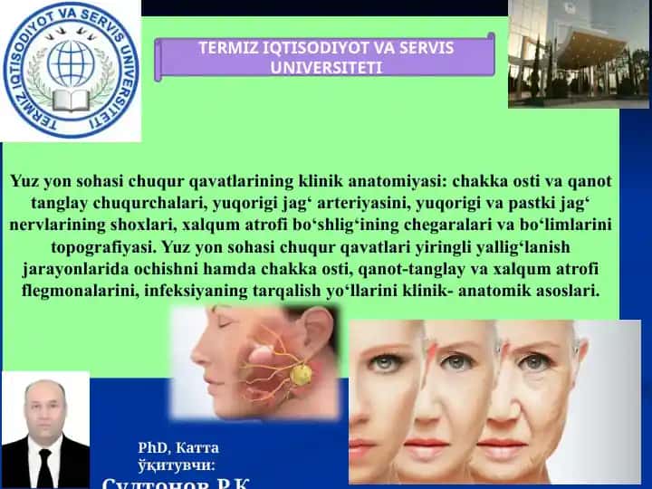 Yuzyonsohasi chakka osti va qanot-tanglay chuqurchalari anatomiyasi