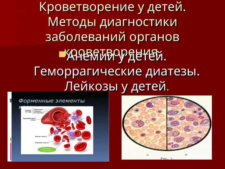 Кроветворение у детей
