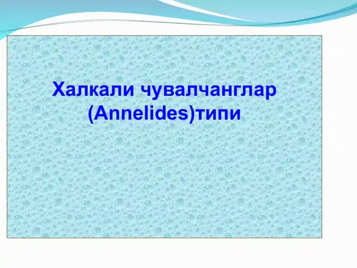 Халқали чувалчанглар