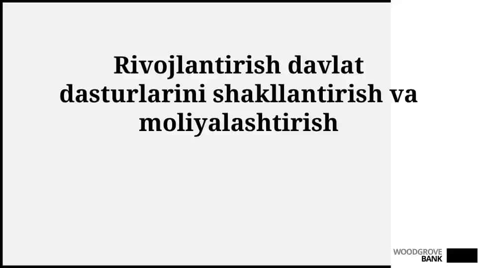 Rivojlantirish davlat dasturlari