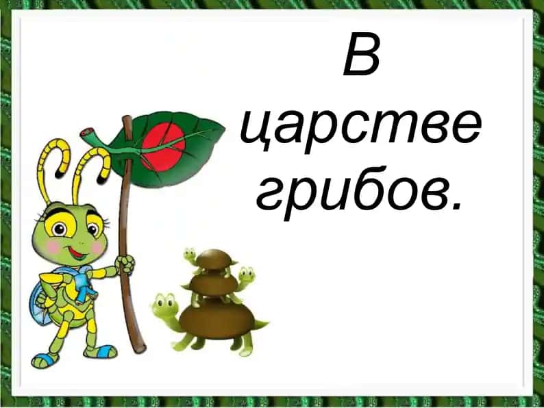 В царстве грибов