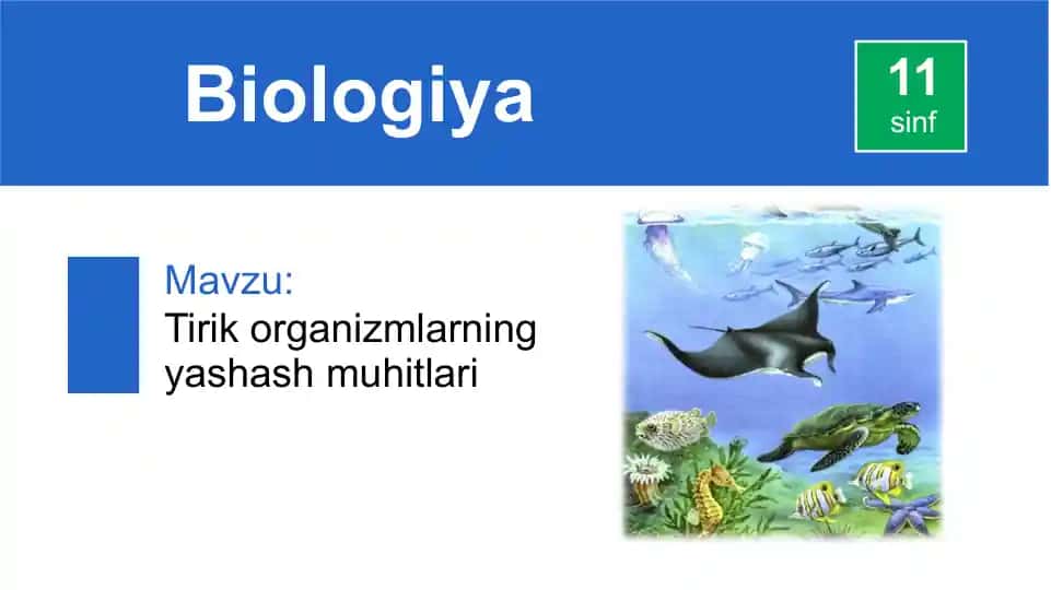 Tirik organizmlarning yashash muhitlari