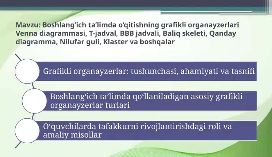 Grafikli organayzerlar