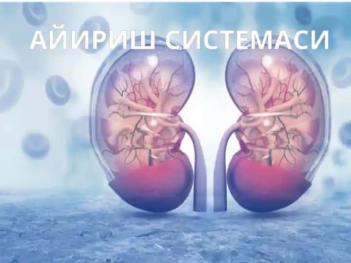 Айириш системаси