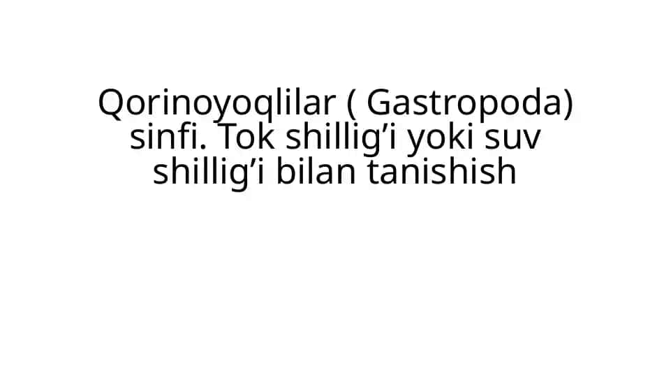 Qorinoyoqlilar (Gastropoda) sinfi