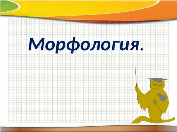 Morfologiya