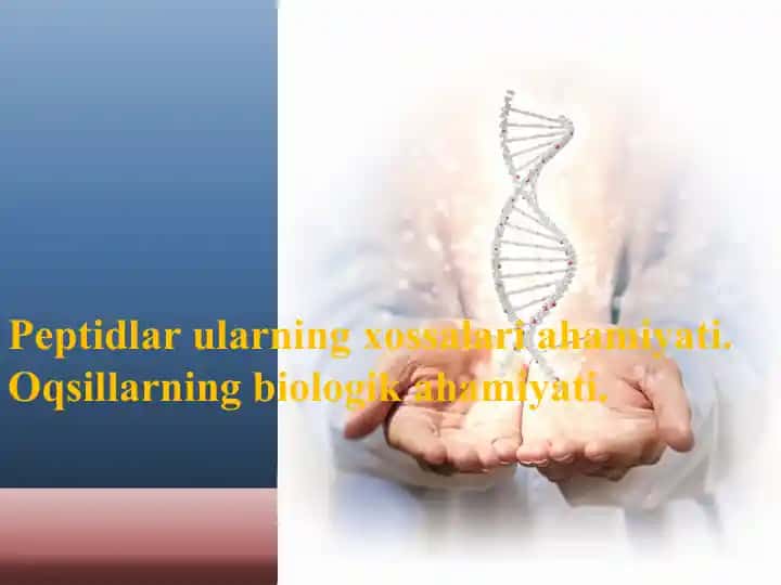 Peptidlar