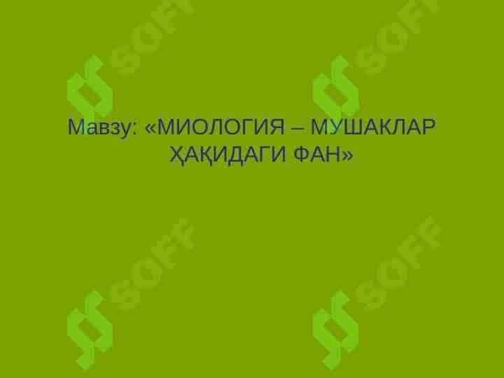 МИОЛОГИЯ – МУШАКЛАР ҲАҚИДАГИ ФАН