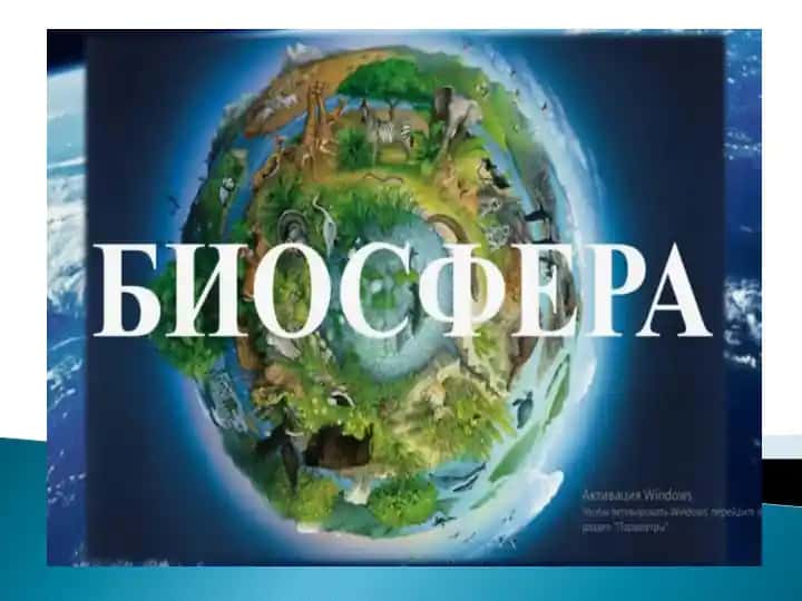 Биосфера