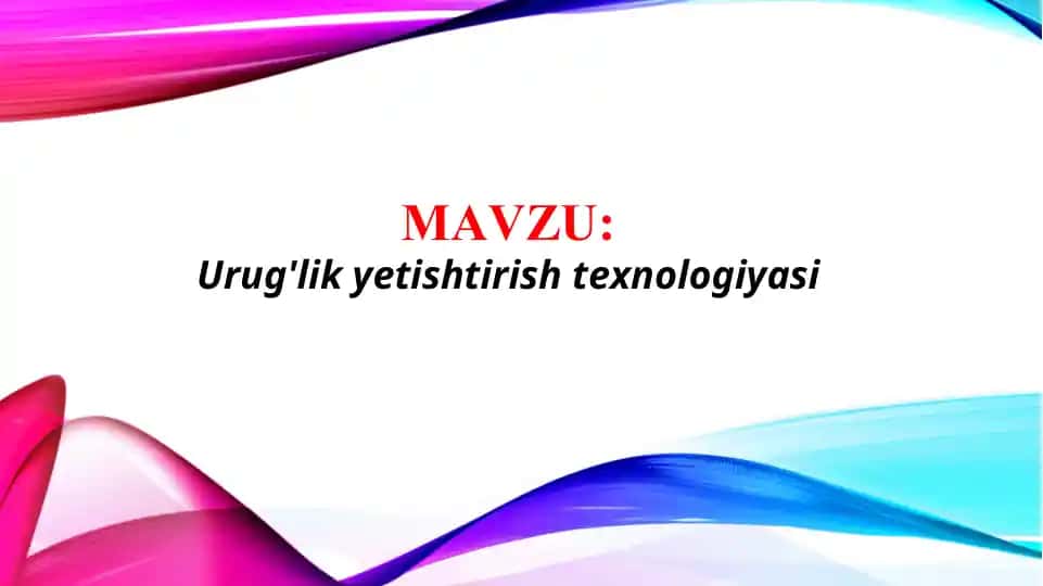 Urug'lik yetishtirish texnologiyasi (TAQDIMOT)