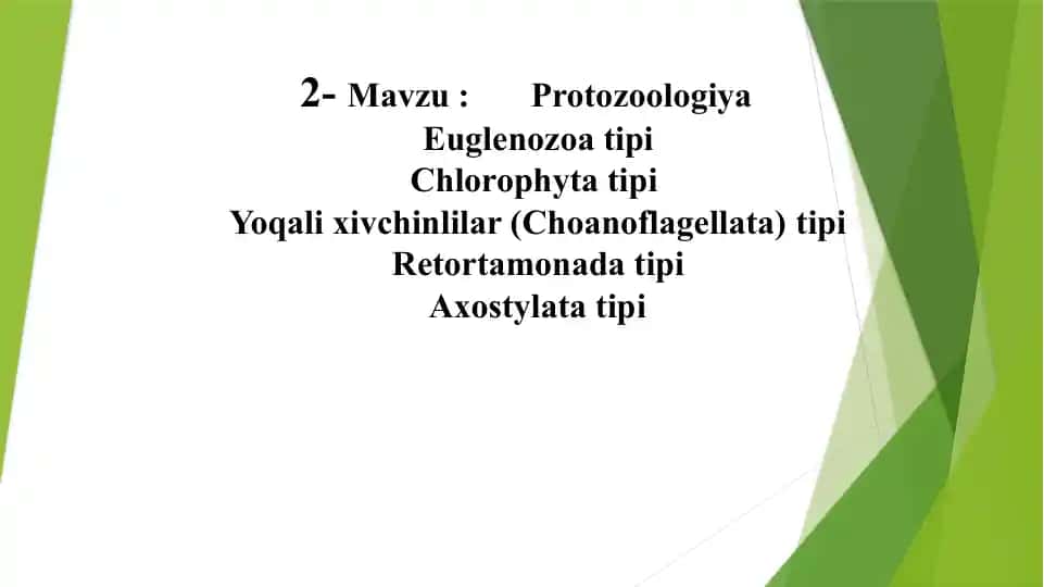 Evglenozoylar(lEuglenozoa)