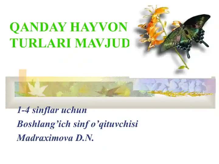 QANDAY HAYVON TURLARI MAVJUD?