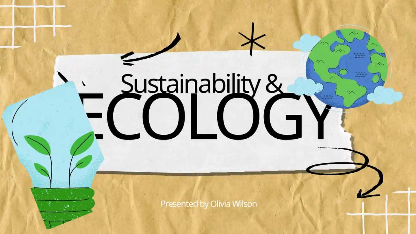 Ecology Sustainability & Presentations