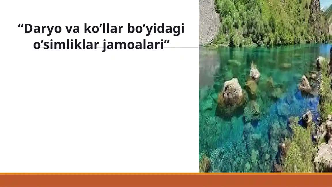 Daryovako'llar bo'yidagi o'simliklar jamoalarining ekologik vazifalari
