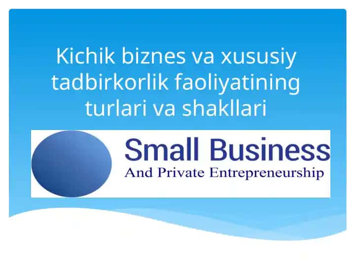 Kichik biznes va xususiy tadbirkorlik faoliyatining turlari va shakllari
