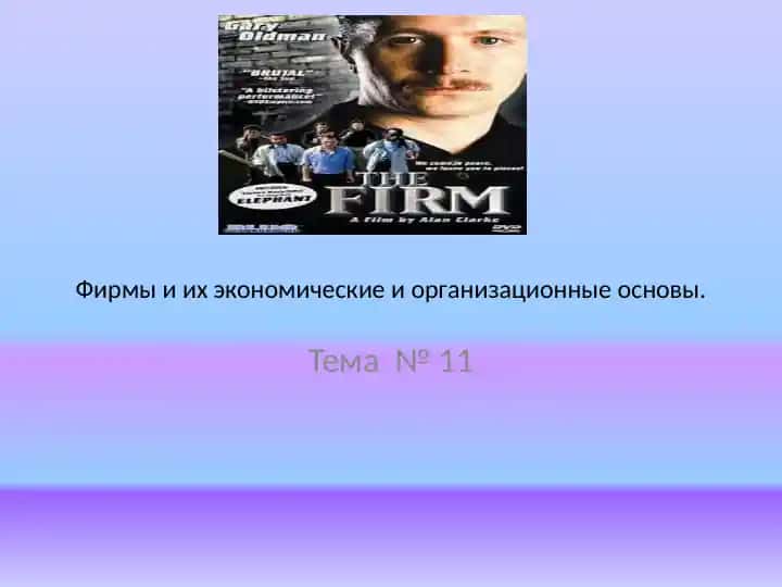 Фирмы и их экономические и организационные основы