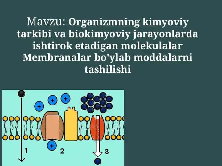 Organizmning kimyoviy tarkibi va biokimyoviy jarayonlari