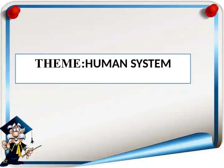 Human System