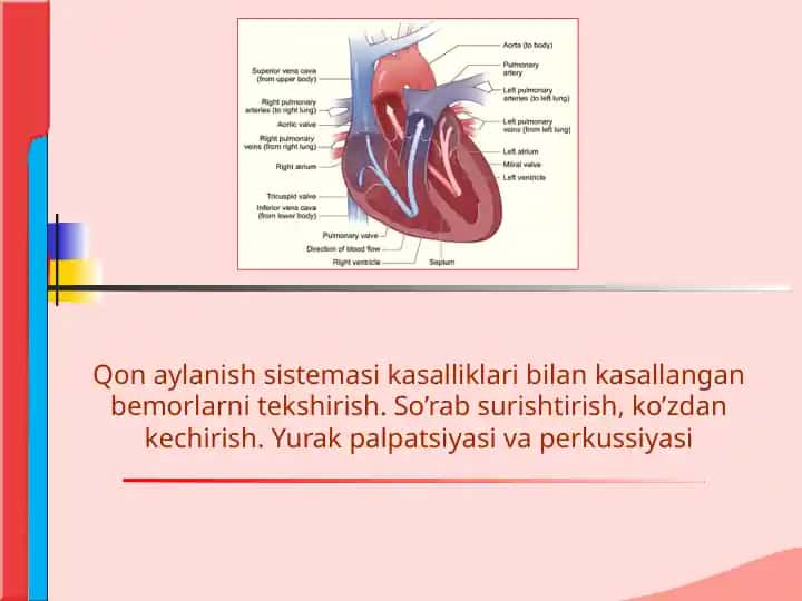 Qon aylanish sistemasi kasalliklari bilan bog'liq bemorlarni tekshirish