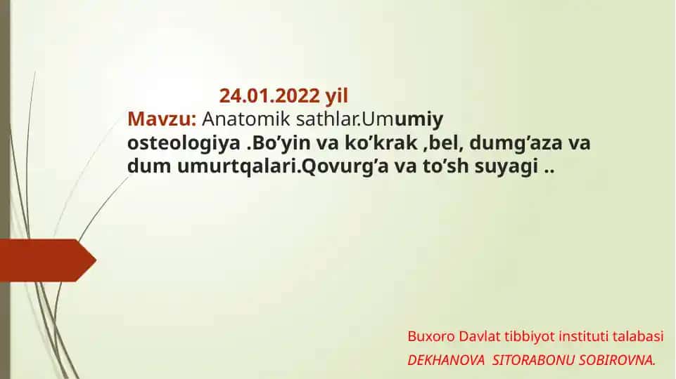 Anatomik sathlar